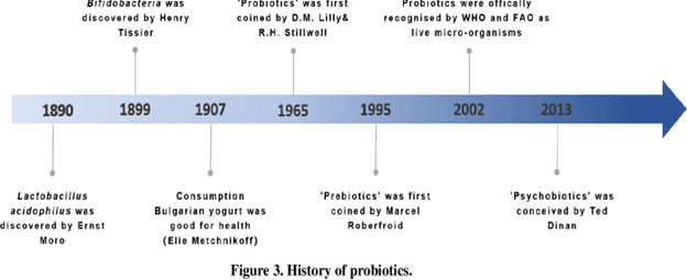 Probioticele și sănătatea organismului 2 Istoria probioticelor