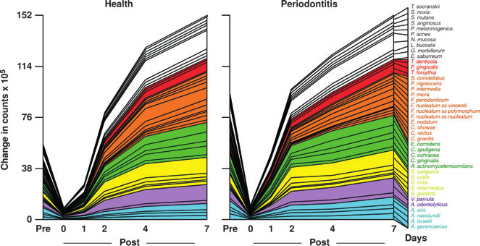 Fig. 1 — Recolonizare biofilm supragingival: sănătate vs. parodontită (adaptat din Uzel et al.)